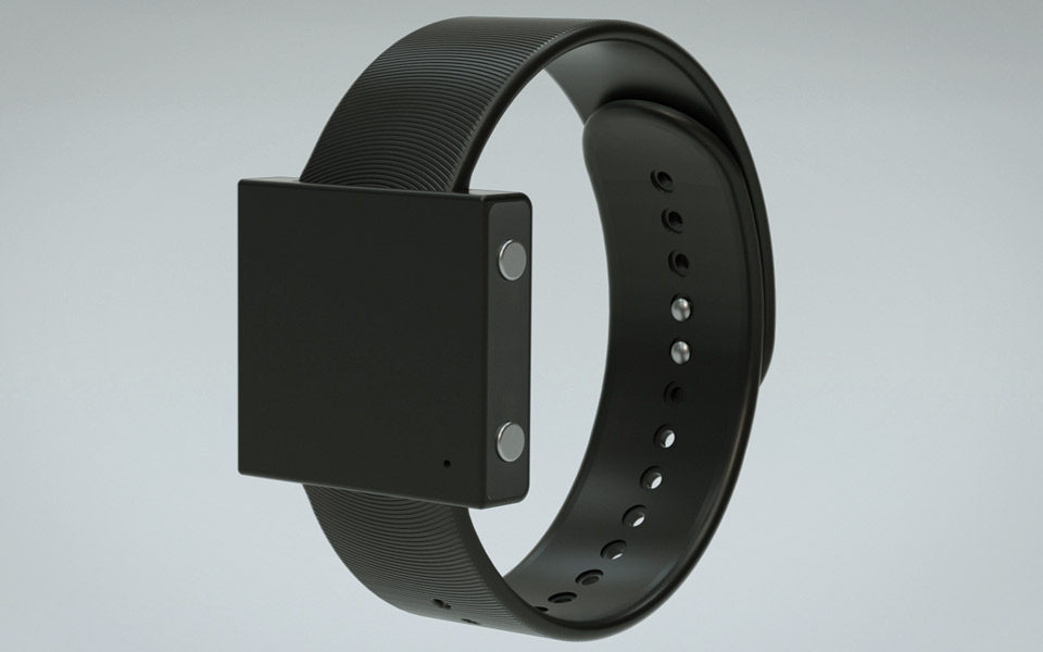 The Basslet