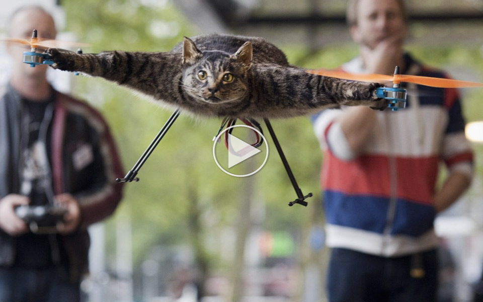 Katte-droner er mærkeligt, men det - MANDESAGER