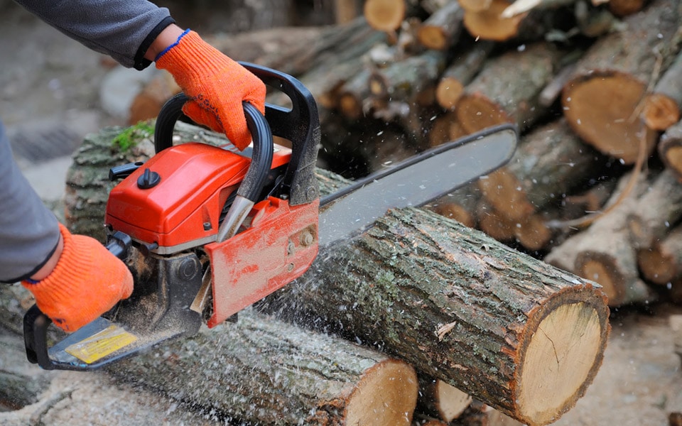 Her er det bedste udstyr til beskæring af træer