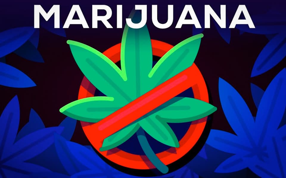 Kurzgesagt har 3 argumenter mod at legalisere cannabis