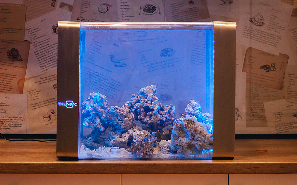 Bluenero er verdens første smarte akvarium