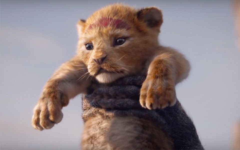 Første trailer til 2019-versionen af The Lion King er lige ankommet