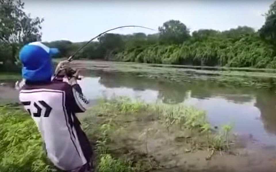 Fisker får en krokodille på krogen