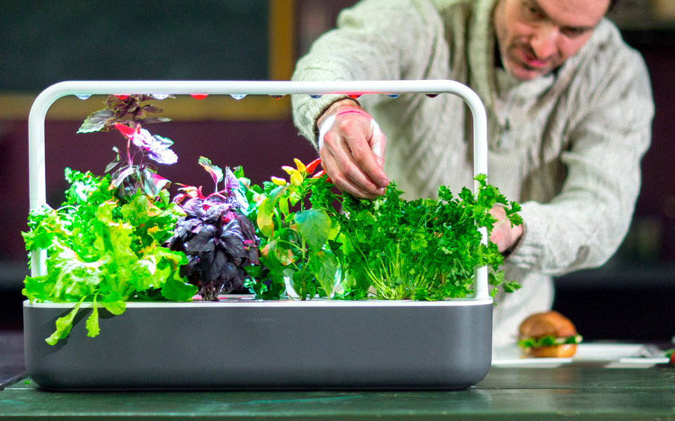 Black Friday: Få kæmpe rabat på en genial Smart Garden til køkkenbordet