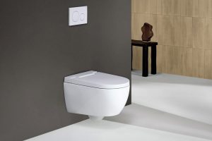 Geberit AquaClean Alba