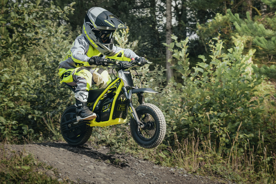 Triumph TXP